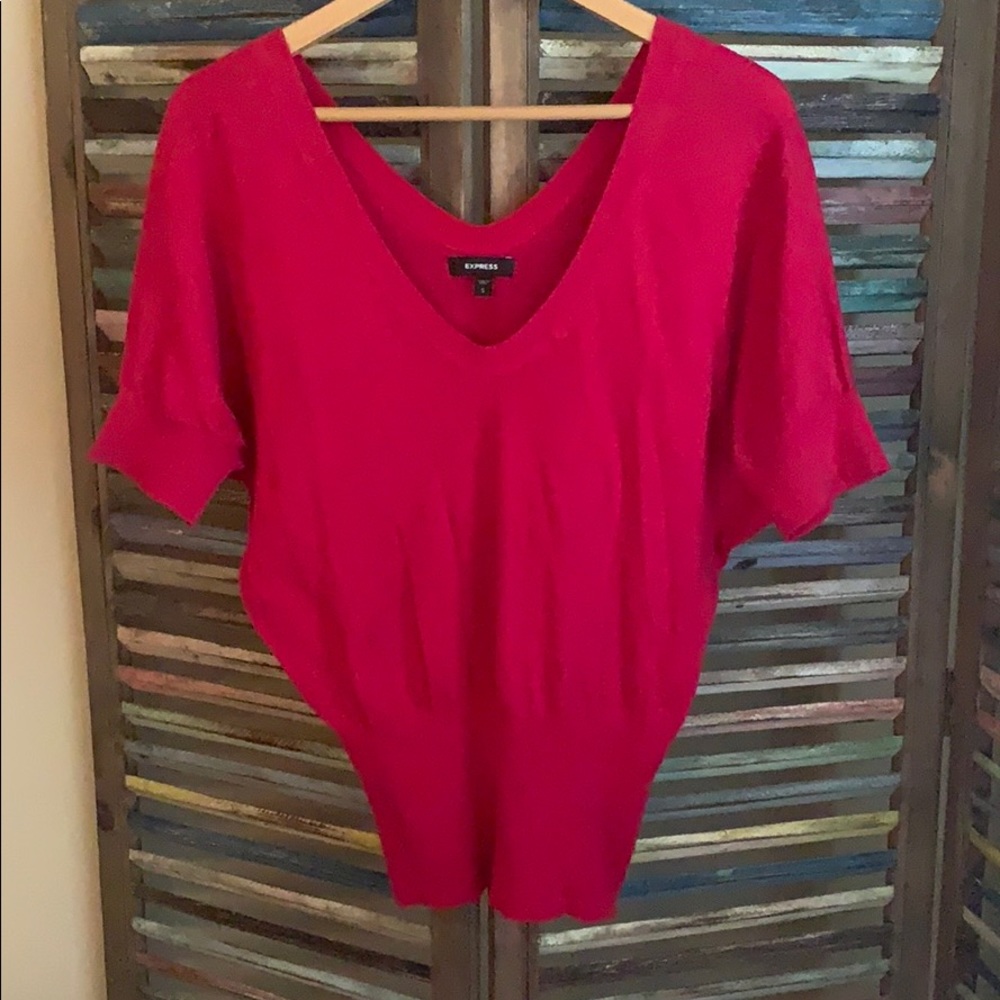 Express V-neck top